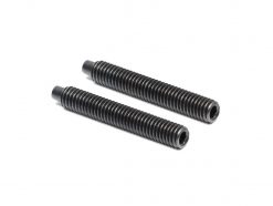 DK Zenith Disc Frame Chain Tensioner Bolts (2pcs)